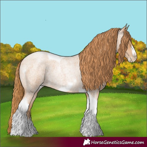 Horse Color:Red Roan Pearl Tobiano Frame 