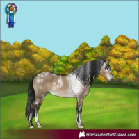Horse Color:Powder White Gray White Spotted Brown Dun Rabicano 