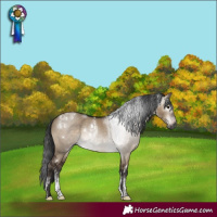 Horse Color:Powder White Gray White Spotted Brown Dun Rabicano