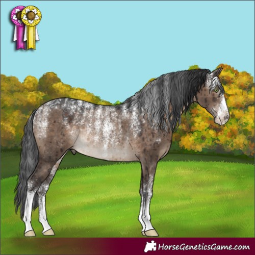 Horse Color:Powder White Brown Dun Rabicano Brindle 