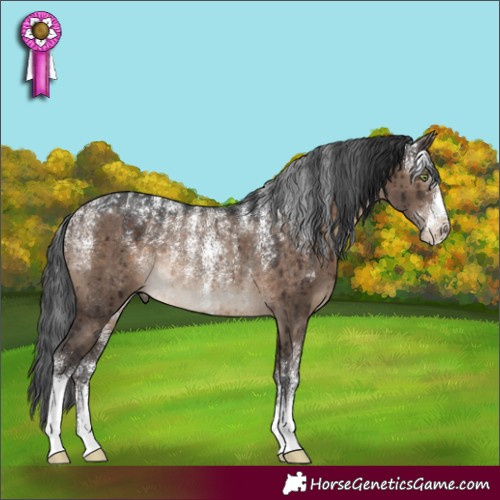 Horse Color:Powder White Brown Dun Rabicano Brindle 