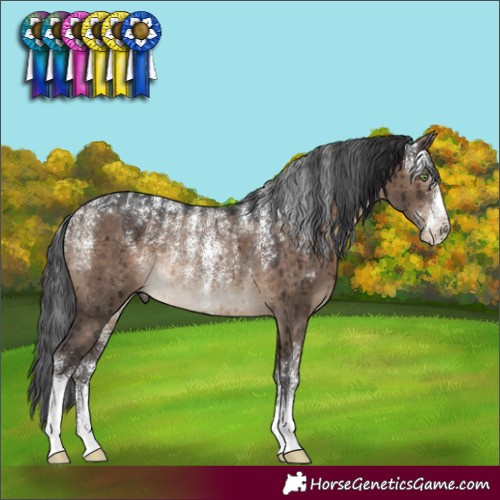 Horse Color:Powder White Brown Dun Rabicano Brindle 