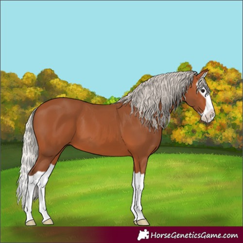 Horse Color:Silver Bay Splash 