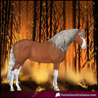 Horse Color:Silver Bay Splash