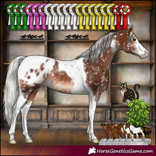 Horse Color:Silver Brown Sabino Tobiano Blanket Rabicano
