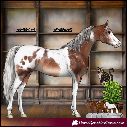 Horse Color:Silver Brown Sabino Tobiano Appaloosa Rabicano 
