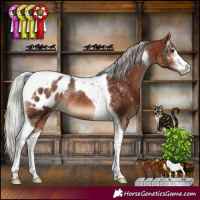 Horse Color:Silver Brown Sabino Tobiano Appaloosa Rabicano 