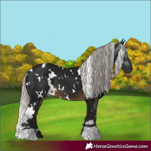 Horse Color:Gray White Spotted Silver Buckskin 