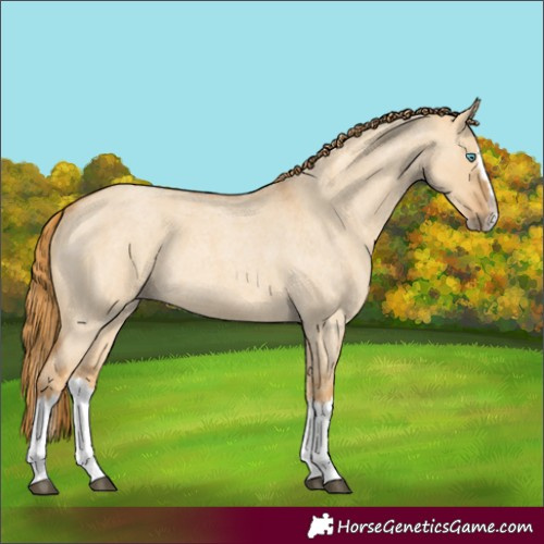 Horse Color:Red Dun Roan Splash Frame Rabicano 