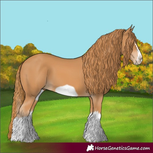 Horse Color:Chestnut Splash Frame