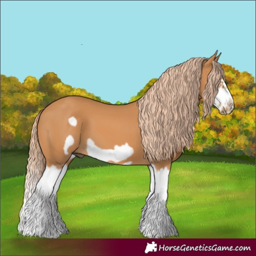 Horse Color:Chestnut Splash Frame