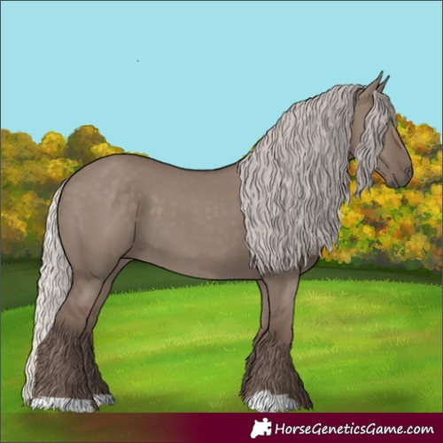 Horse Color:Silver Grullo 