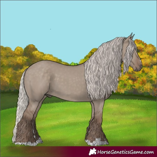 Horse Color:Silver Grullo 