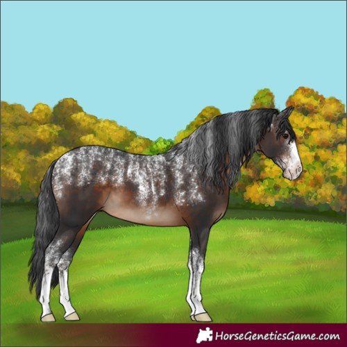 Horse Color:Powder White Brown 