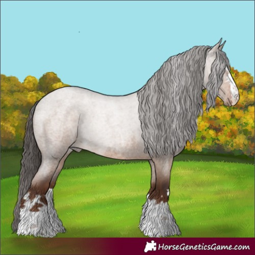Horse Color:Liver Red Dun Roan Rabicano 