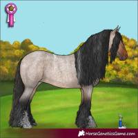 Horse Color:Powder White Brown Roan Dun 