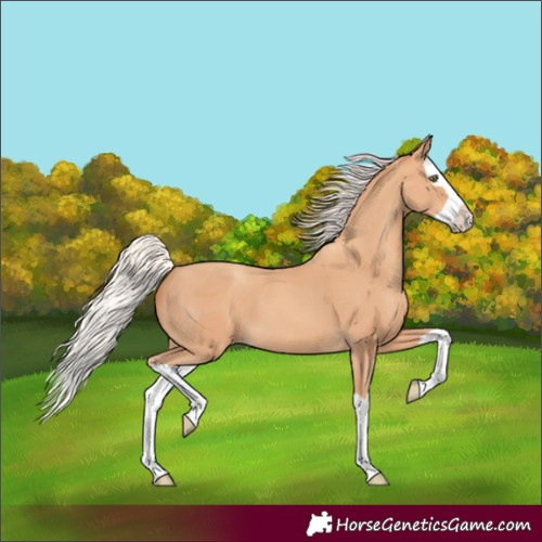 Horse Color:Silver Amber Champagne Splash 