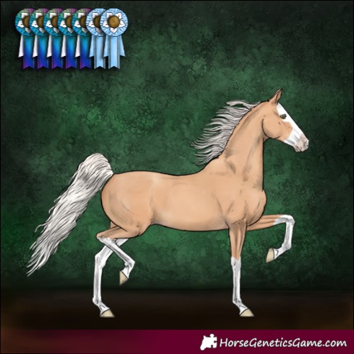 Horse Color:Silver Amber Champagne Splash 