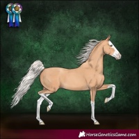 Horse Color:Silver Amber Champagne Splash