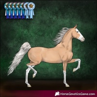 Horse Color:Silver Amber Champagne Splash 