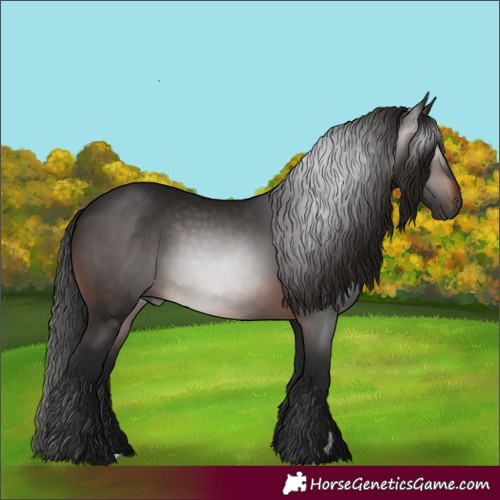 Horse Color:Gray Bay