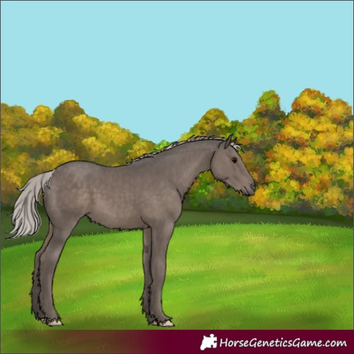 Horse Color:Silver Black Mushroom 