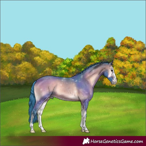 Horse Color:Watercolor Brown Onyx 