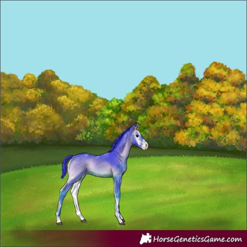 Horse Color:Watercolor Brown Onyx Sabino