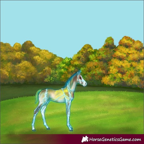 Horse Color:Thunderstruck Brown Onyx Sabino