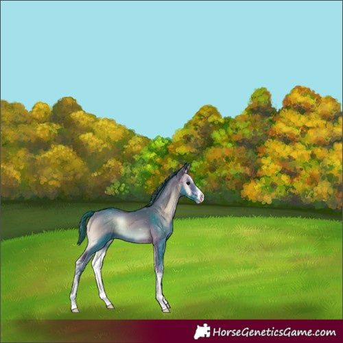 Horse Color:Watercolor Brown Onyx Sabino