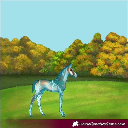 Horse Color:Thunderstruck Brown Onyx