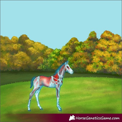 Horse Color:Thunderstruck Brown Onyx Sabino 
