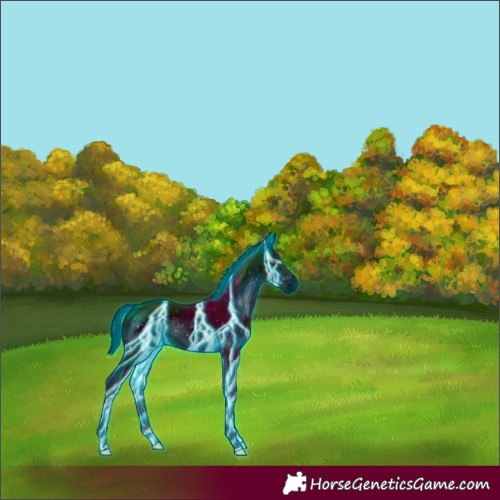 Horse Color:ERROR: UNKNOWN ANOMALY