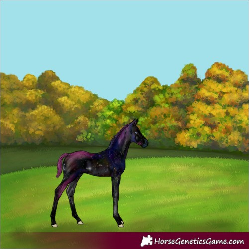 Horse Color:ERROR: UNKNOWN ANOMALY