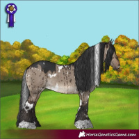 Horse Color:White Spotted Brown Dun Brindle 
