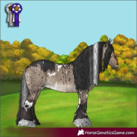 Horse Color:White Spotted Brown Dun Brindle 