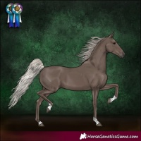 Horse Color:Silver Black Tobiano 