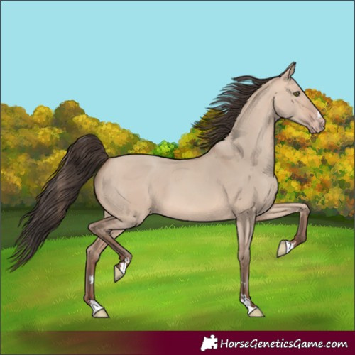Horse Color:Amber Champagne Dun 