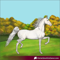 Horse Color:Silver Smoky Blue Roan Pearl Tobiano 