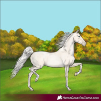 Horse Color:Silver Smoky Blue Roan Pearl Tobiano