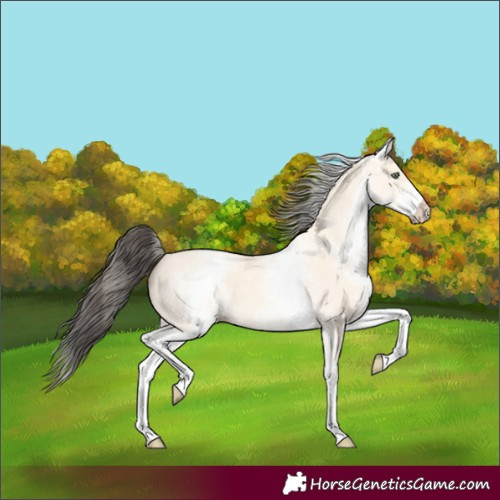 Horse Color:White Spotted Amber Cream Champagne 