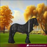 Horse Color:Gray White Spotted Black Rabicano 