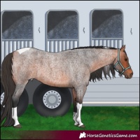Horse Color:Bay Roan Tobiano