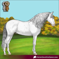 Horse Color:Smoky Black Sabino Varnish Rabicano