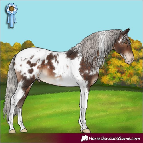 Horse Color:White Spotted Silver Brown Tobiano Appaloosa 