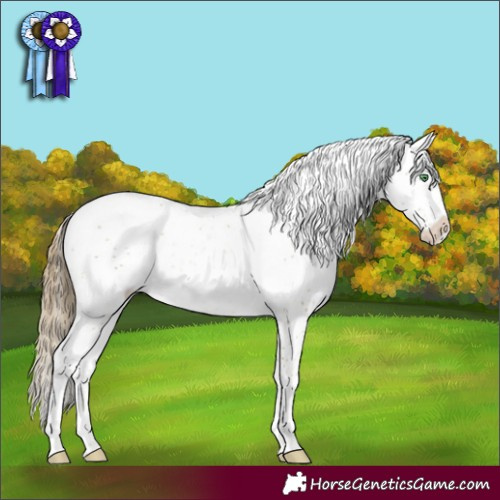 Horse Color:Smoky Black Pearl Sabino Rabicano 