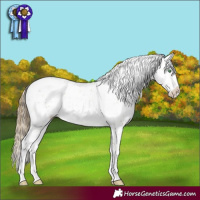 Horse Color:Smoky Black Pearl Sabino Rabicano