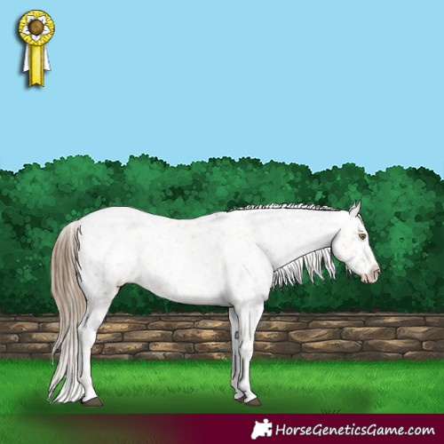 Horse Color:White Spotted Liver Red Dun Pearl Snowflake Varnish