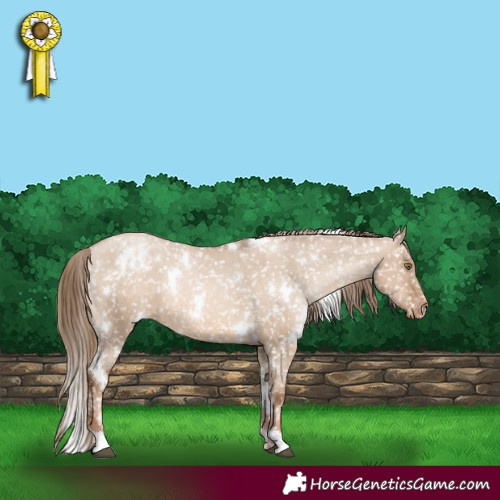 Horse Color:White Spotted Liver Red Dun Pearl Appaloosa 