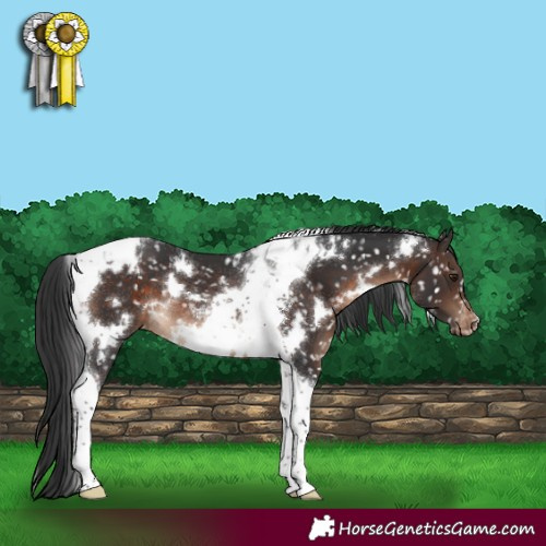 Horse Color:White Spotted Brown Tobiano Snowflake Varnish Rabicano 